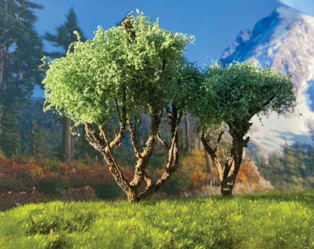 Image for 295-T29 Hardwood Tree Medium 2/