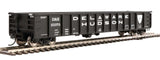 Walthers Mainline 910-6274 53' Railgon D&H - Delaware & Hudson #15070 (black, white, large name) HO Scale