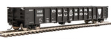 Walthers Mainline 910-6275 53' Railgon D&H - Delaware & Hudson #15080 (black, white, large name) HO Scale