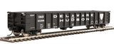 Walthers Mainline 910-6276 53' Railgon D&H - Delaware & Hudson #15088 (black, white, large name) HO Scale