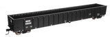 Walthers 910-6437 68' Railgon Gondola Crab Orchard & Egyptian Railway #800903 HO Scale