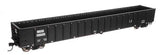 Walthers 910-6439 68' Railgon Gondola Crab Orchard & Egyptian Railway #800952 HO Scale