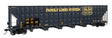 Image for 910-56376 Wood Chip Hop CSXT 434153