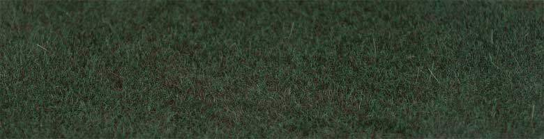 Image for 272-170201 Sctrd Fbrs Fir Grn 2-3mm