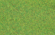 Image for 272-170212 Grass Gn Scttrd 4mm 80g
