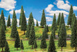 Image for 272-181537 10 Assort Fir Trees