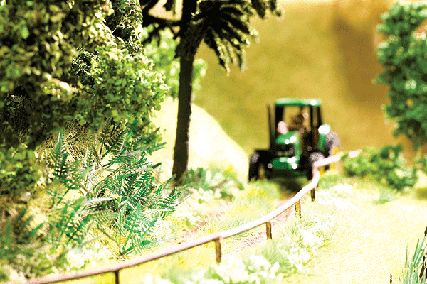 Image for 528-14606 Ferns pkg(18)
