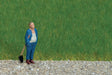 Image for 528-7072 Grass Blend Summer Meadow
