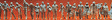Image for 590-16337 Figures asst unpntd  120/