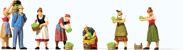 Image for 590-10608 Grape Harvest