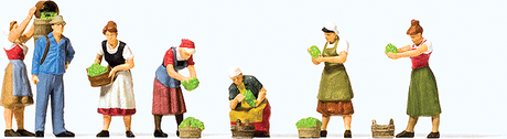 Image for 590-10608 Grape Harvest