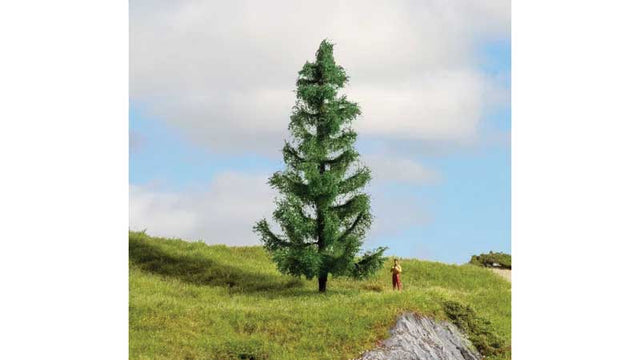 Image for 528-20193 Spruce Tree