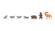 Image for 528-36746 Bears and Wolves
