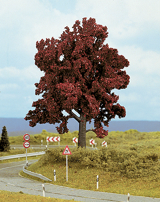 Image for 528-21730 Copper-beech 14cm high