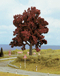 Image for 528-21730 Copper-beech 14cm high