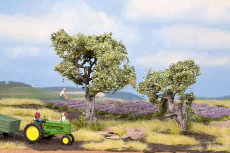 Image for 528-21995 Olive Trees 2/