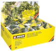 Image for 528-25964 Deciduous/Conifer Assort