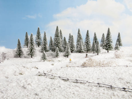 Image for 528-26928 Snow Fir Trees 5-14cm 10/
