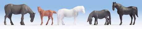 Image for 528-18215 Horses