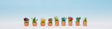 Image for 528-14084 Ornamental Plants #6 9/