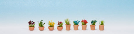 Image for 528-14084 Ornamental Plants #6 9/