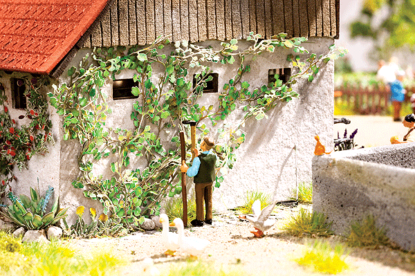 Image for 528-14132 Virginia Creeper 12/