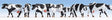 Image for 528-15725 Cows Black/White 7/