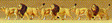 Image for 590-79713 Lions 6/
