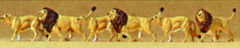 Image for 590-79713 Lions 6/