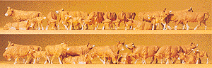 Image for 590-14409 Cows Brn/Wht 30/