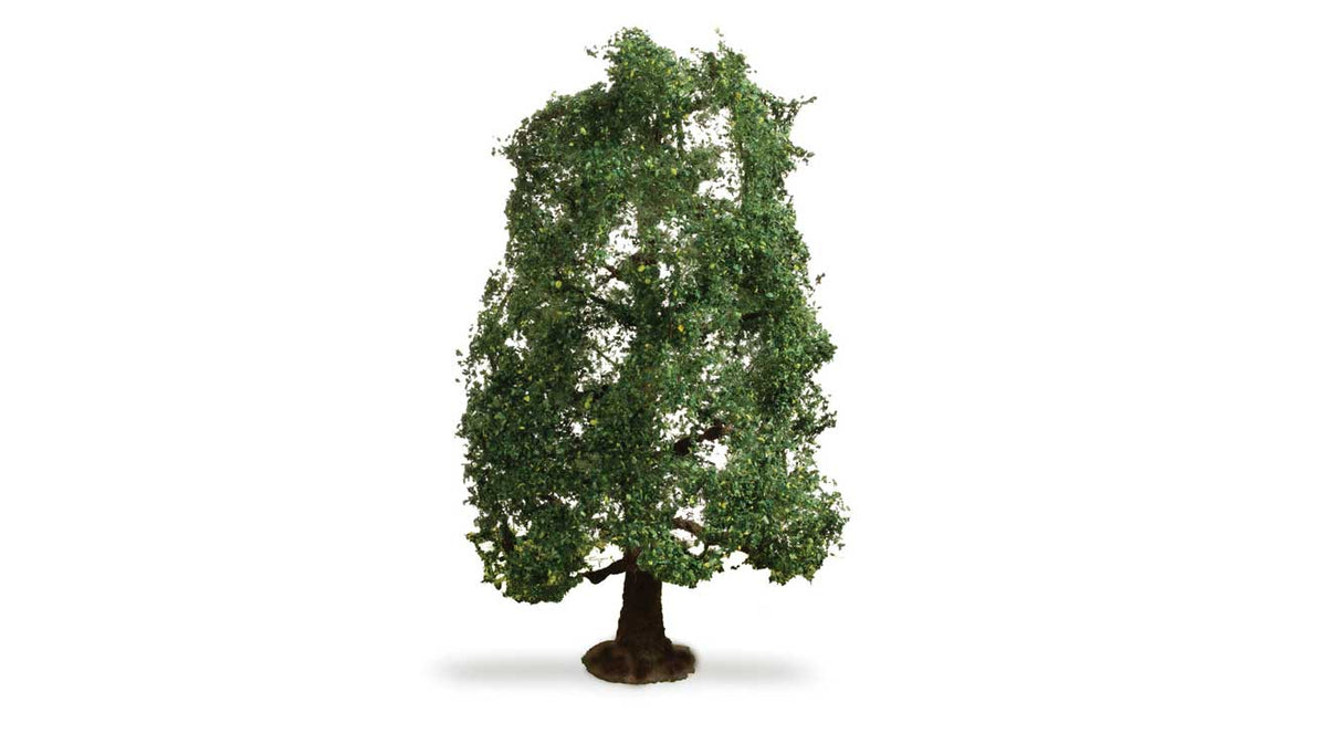 Image for 528-20111 Oak Tree