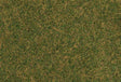Image for 272-170209 Wild Grass Brn Green 30g