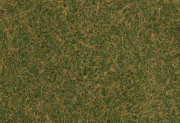 Image for 272-170209 Wild Grass Brn Green 30g