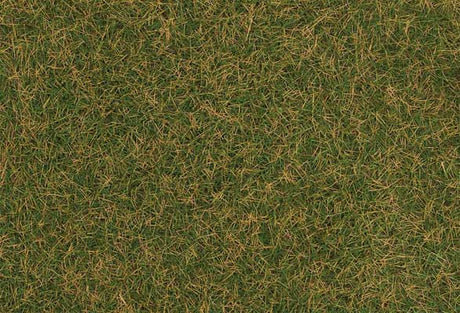 Image for 272-170209 Wild Grass Brn Green 30g