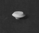 Image for 229-1901 Air vent rnd cab/hood 6/
