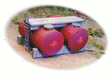 Image for 171-2003 Horizontal Fuel Tanks 2/