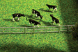 Image for 272-272408 Fence System f/Stalls