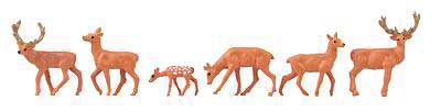 Image for 272-151907 Red Deer
