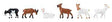 Image for 272-151911 Goats