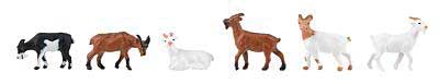 Image for 272-151911 Goats