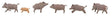 Image for 272-151925 Wild Boars  6/