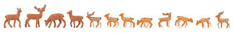 Image for 272-155905 Fallow & Red Deer 12/