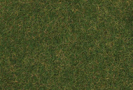 Image for 272-170207 Wild Grass Summer 30g
