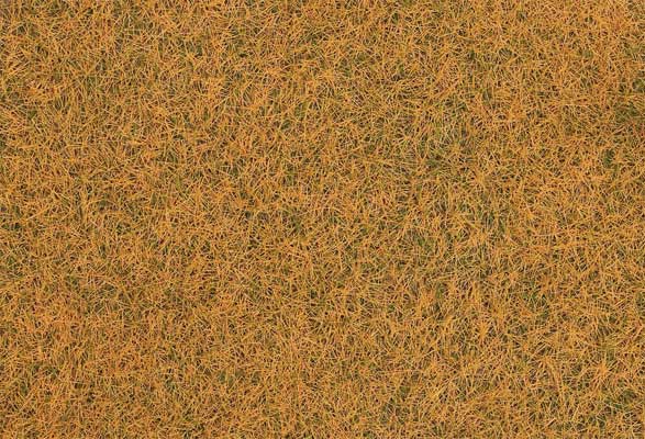 Image for 272-170210 Wild Grass Withered 30g