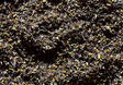 Image for 272-170706 Ground Cvr Blst Gry 1.5oz