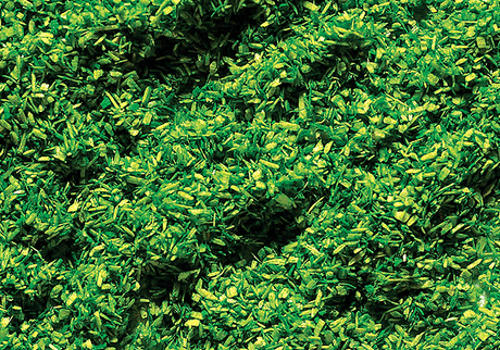 Image for 272-170702 Ground Cvr Spring Grn 1oz