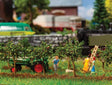 Image for 272-181359 10 Small Apple Trees