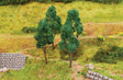 Image for 272-181377 Beeches  /4