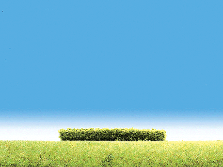 Image for 272-181398 Hedges Light Green 3/