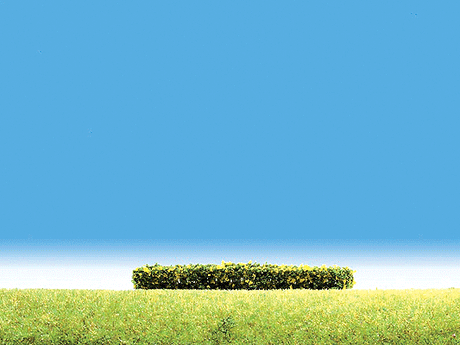 Image for 272-181399 Flowering Hedges yllw 3/